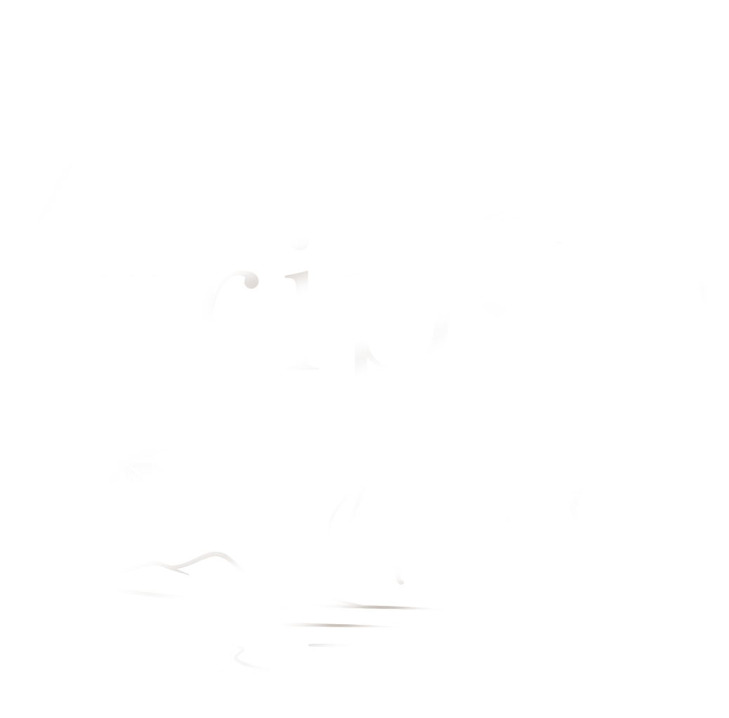 transparent trips by teri logo white